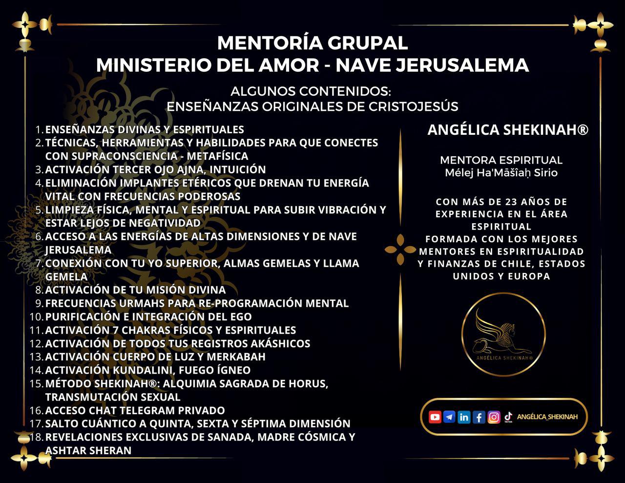 MENTORÍA EXCLUSIVA ASCIENDE A NAVE JERUSALEMA-AVYON V.I.P. PRINCIPIOS AVANZADOS - Imagen 6