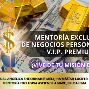 MENTORÍA EXCLUSIVA NEGOCIOS PERSONALIZADA ASCIENDE A NAVE JERUSALEMA V.I.P.