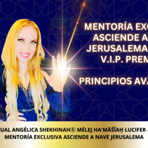 MENTORÍA EXCLUSIVA ASCIENDE A NAVE JERUSALEMA-AVYON V.I.P. PRINCIPIOS AVANZADOS